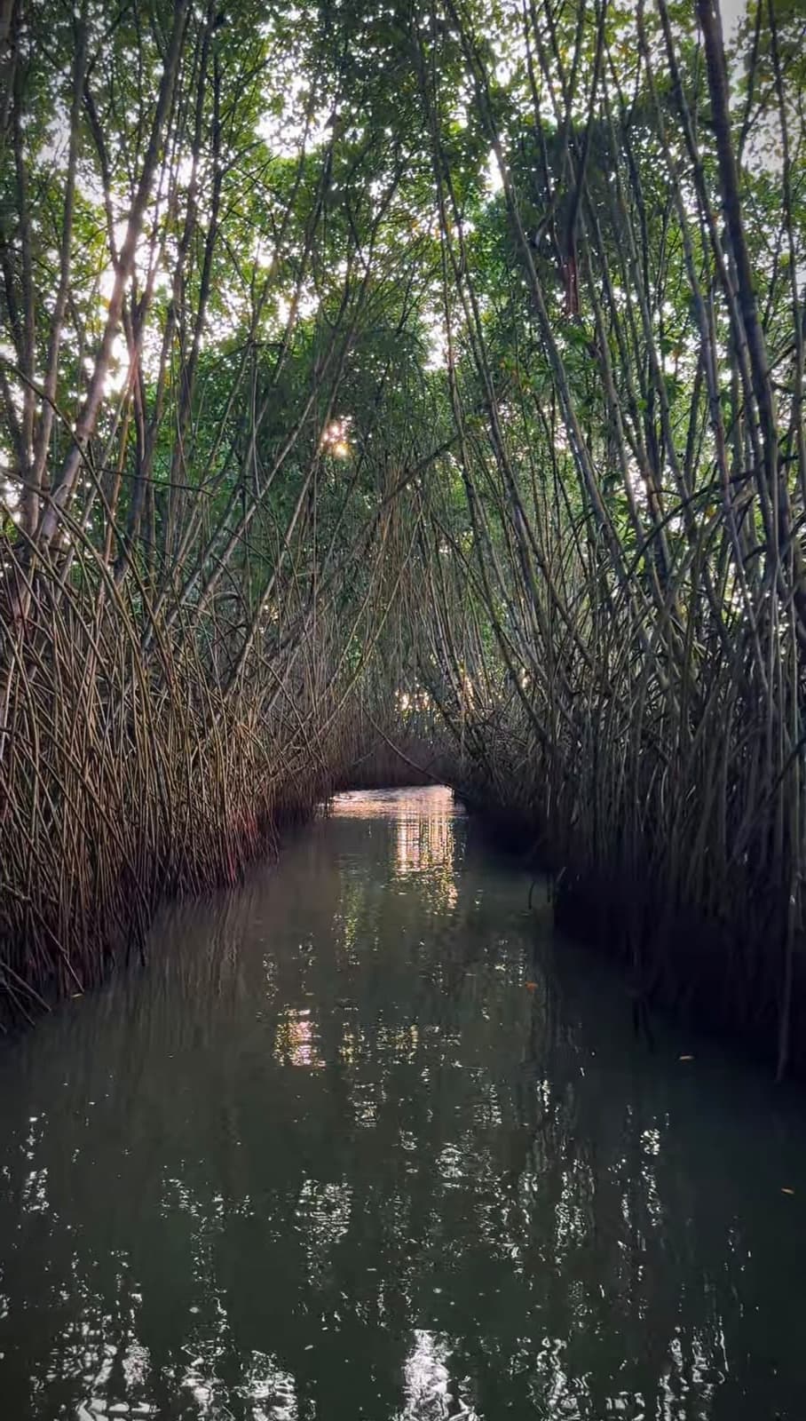 Best kayaking tour varkala nedungolam mangrove — Walking Trees Adventures, Varkala