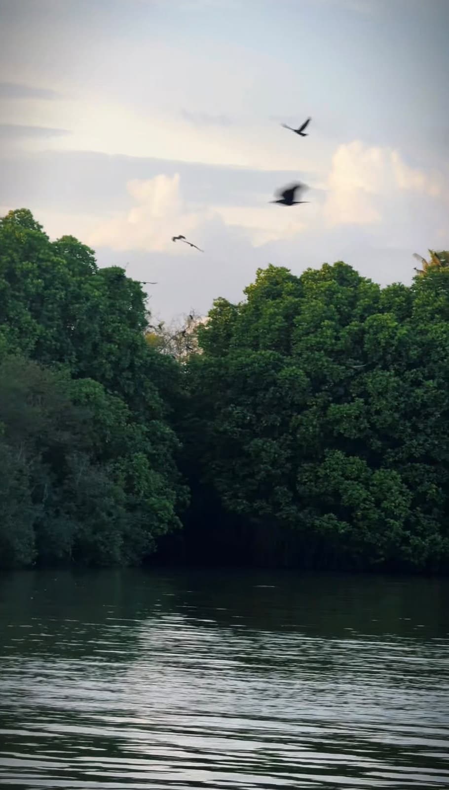 Paravur lake sunset kayaking varkala birds — Walking Trees Adventures, Varkala