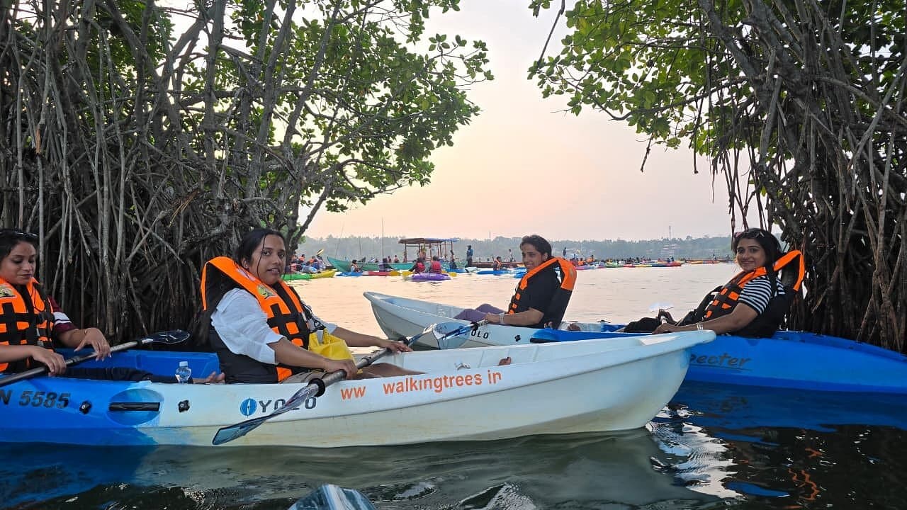 Sandbar Kayaking Expedition